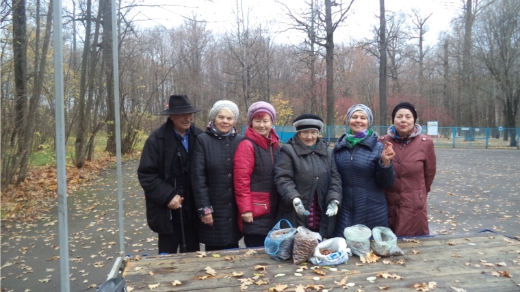 Женский клуб «Радужные пчелки» принял участие в акции по сбору желудей в Ельниковской роще
